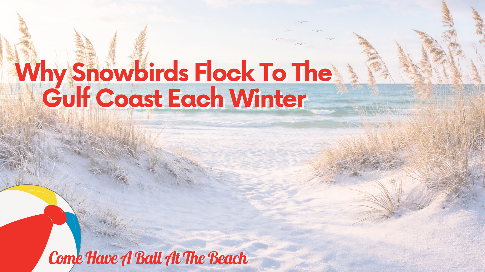 Why Snowbirds Flock To The Gulf Coast Each Winter