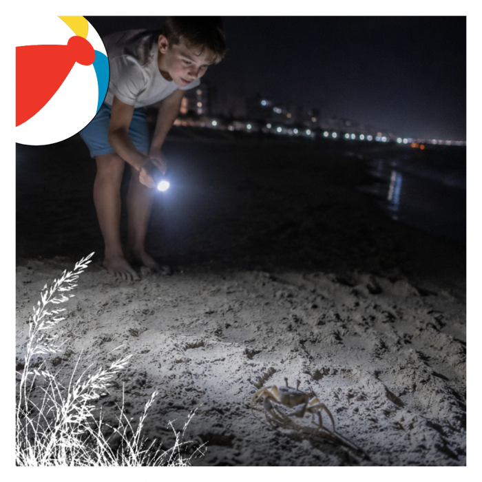 Ghost Crab Hunting at night