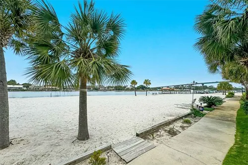 Beach or Park!